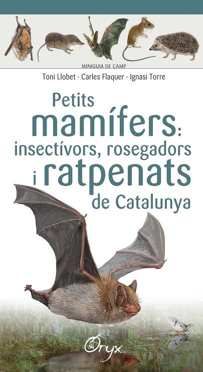 PETITS MAMÍFERS: INSECTÍVORS, ROSEGADORS I RATPENATS DE CATALUNYA | 9788490348956 | LLOBET FRANÇOIS , TONI/FLAQUER XX, CARLES/TORRE XX, IGNASI