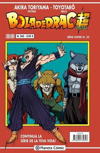 BOLA DE DRAC SÈRIE VERMELLA Nº 243 | 9788413410395 | TORIYAMA, AKIRA