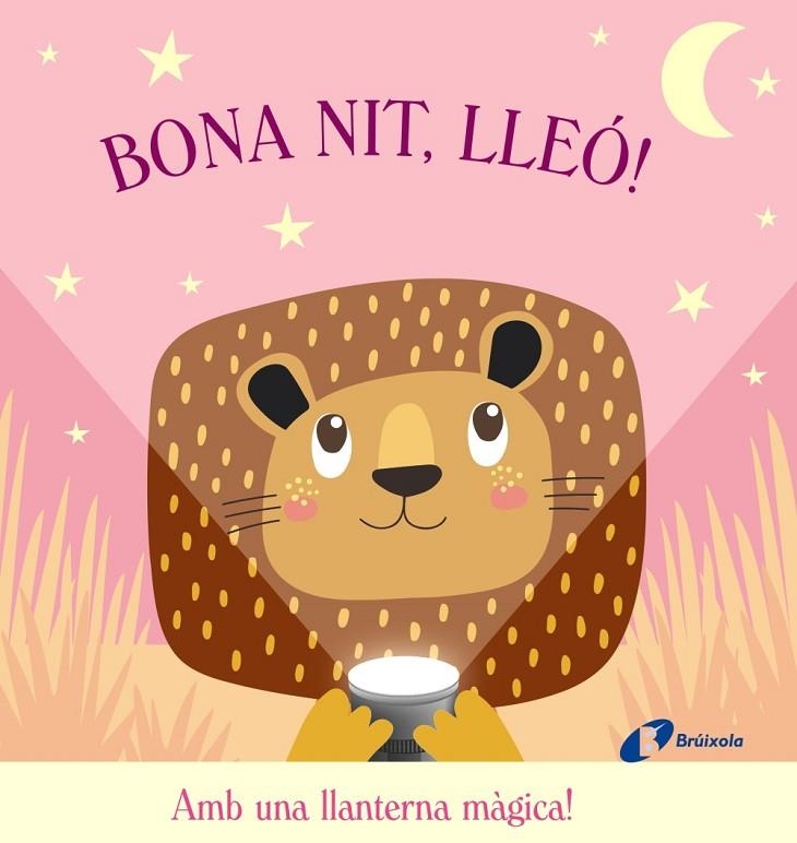 BONA NIT, LLEÓ! | 9788499069968 | VARIOS AUTORES