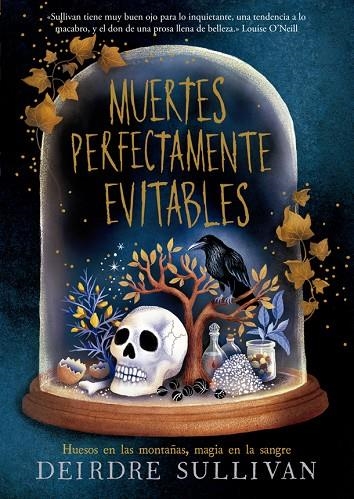 MUERTES PERFECTAMENTE EVITABLES | 9788424666729 | SULLIVAN, DEIRDRE