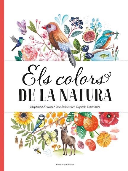 ELS COLORS DE LA NATURA | 9788490349243 | SEDLÁ?KOVÁ , JANA/SEKANINOVÁ, ?T?PÁNKA