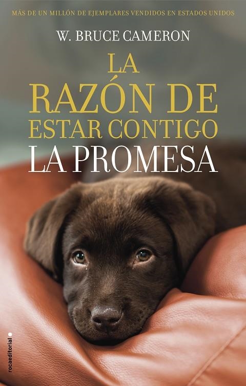 LA RAZÓN DE ESTAR CONTIGO. LA PROMESA | 9788417167103 | CAMERON, W. BRUCE