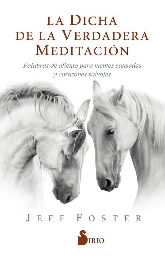 LA DICHA DE LA VERDADERA MEDITACIÓN | 9788418000522 | FOSTER, JEFF