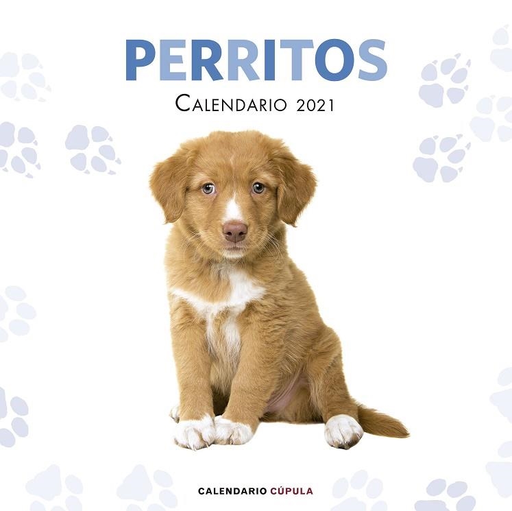 CALENDARIO PERRITOS 2021 | 9788448027766 | AA. VV.