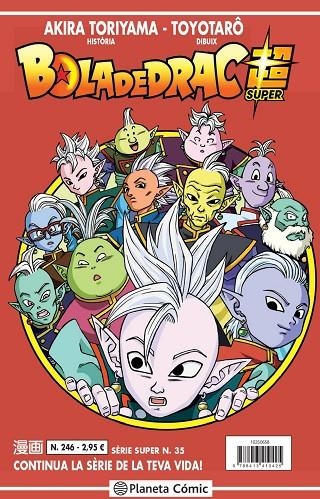 BOLA DE DRAC SÈRIE VERMELLA Nº 246 | 9788413410425 | TORIYAMA, AKIRA/VIZ MEDIA