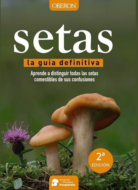 SETAS | 9788441537842 | CALVO PÉREZ, AITOR/CALVO PÉREZ, JAVIER/ROMÁN ECHEVARRÍA, JUAN ANDRÉS/IBARRETXE IRAGORRI, RICARDO