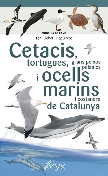 CETACIS, TORTUGUES, GRANS PEIXOS PELÀGICS I OCELLS MARINS DE CATALUNYA | 9788490349441 | LLOBET FRANÇOIS, TONI/ARCOS XX, PEP