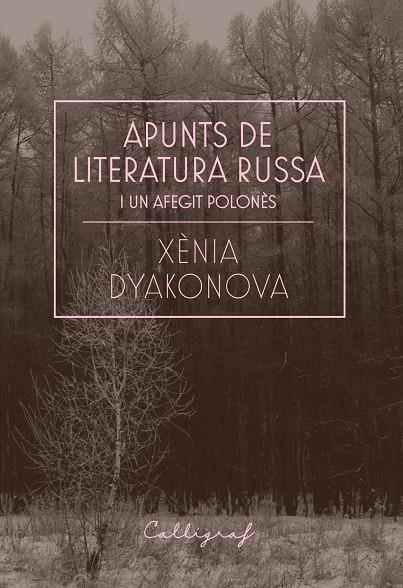 APUNTS DE LITERATURA RUSSA I UN AFEGIT POLONÈS | 9788412212358 | DYAKONOVA, XÈNIA