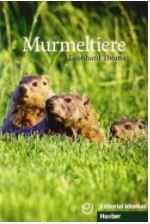 MURMELTIERE LIBRO | 9788481410464 | THOMA, LEONHARD