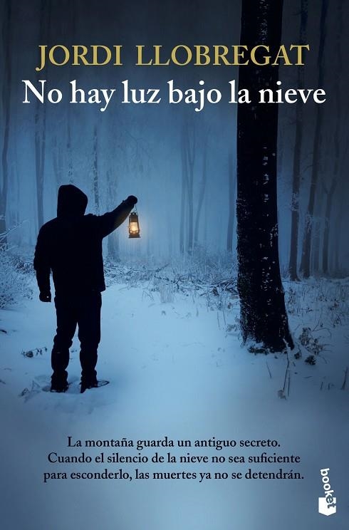 NO HAY LUZ BAJO LA NIEVE | 9788423358793 | LLOBREGAT, JORDI