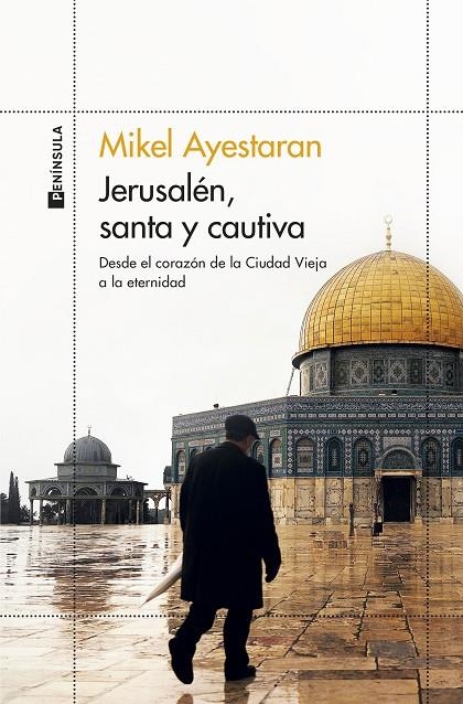 JERUSALÉN, SANTA Y CAUTIVA | 9788499429861 | AYESTARAN, MIKEL