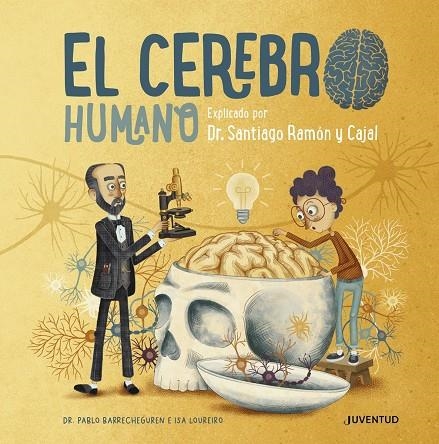 EL CEREBRO HUMANO | 9788426147110 | BARRECHEGUREN, PABLO