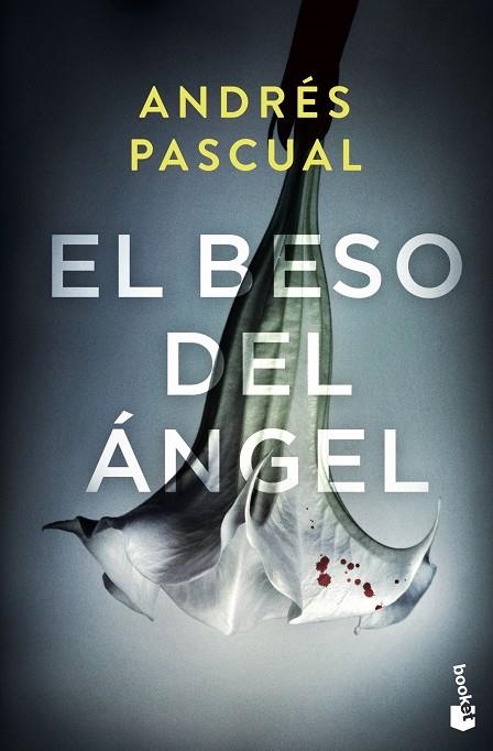 EL BESO DEL ÁNGEL | 9788467062755 | PASCUAL, ANDRÉS