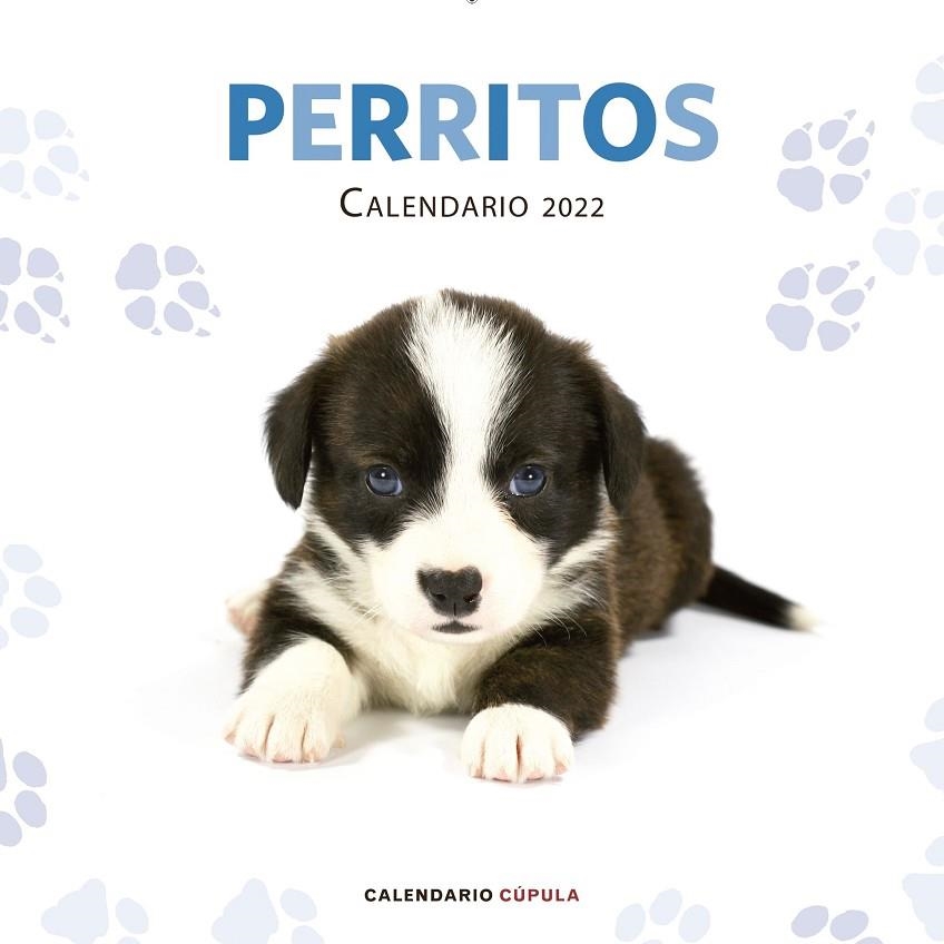 CALENDARIO PERRITOS 2022 | 9788448028701 | AA. VV.