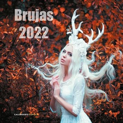 CALENDARIO BRUJAS 2022 | 9788448028862 | AA. VV.