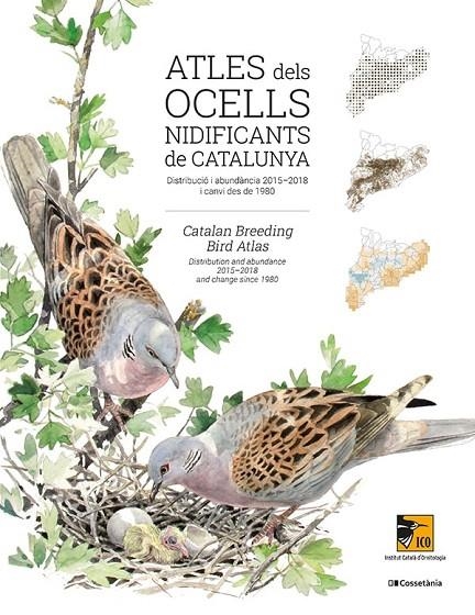 ATLES DELS OCELLS NIDIFICANTS DE CATALUNYA | 9788413560939 | LLOBET, TONI/FRANCH, MARTÍ