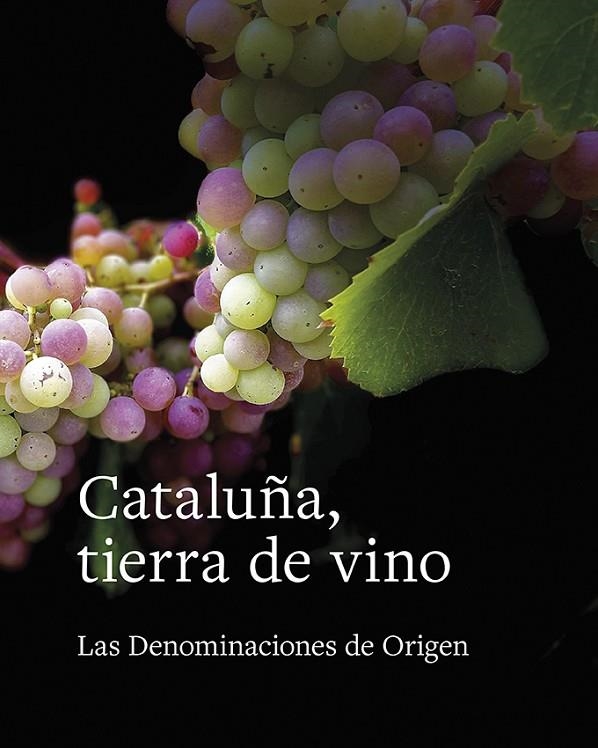 CATALUÑA, TIERRA DE VINO | 9788416445622 | TOLOSA PLANET, LLUÍS/FRANCÀS MARTORELL, RAMON/SUCARRATS MIRÓ, JOSEP/SANS I TRAVÉ, JOSEP MARIA/GIMENA