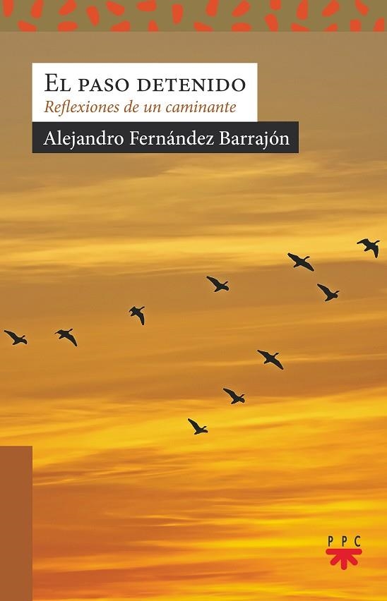 SA.219 EL PASO DETENIDO | 9788428834018 | FERNÁNDEZ BARRAJÓN, ALEJANDRO