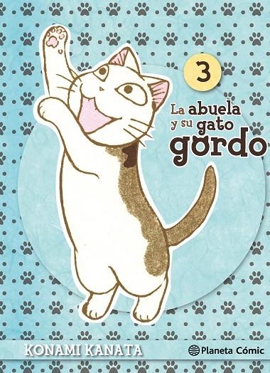 LA ABUELA Y SU GATO GORDO Nº 03/08 | 9788416308101 | KANATA, KONAMI