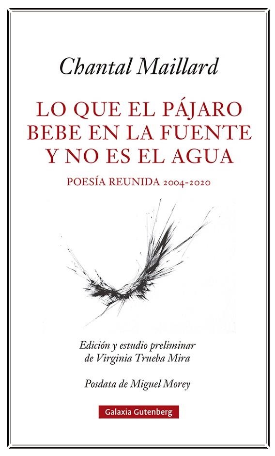 LO QUE EL PÁJARO BEBE EN LA FUENTE Y NO ES EL AGUA | 9788418807633 | MAILLARD, CHANTAL