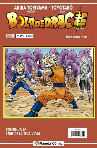 BOLA DE DRAC SÈRIE VERMELLA Nº 291 | 9788491746270 | TORIYAMA, AKIRA