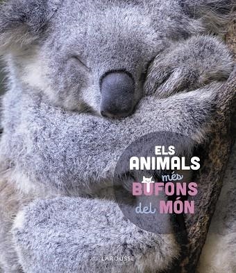 ELS ANIMALS MÉS BUFONS DEL MÓN | 9788419436184 | LEDU, STÉPHANIE