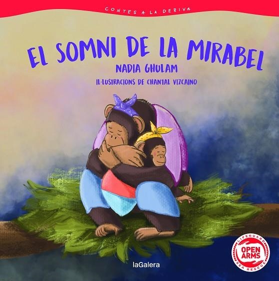 CONTES A LA DERIVA 3. EL SOMNI DE LA MIRABEL | 9788424674601 | GHULAM DASTGIR, NADIA