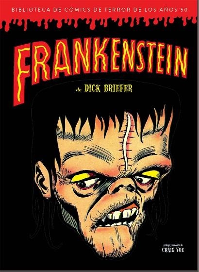 FRANKENSTEIN | 9788494903083 | BRIEFER,DICK