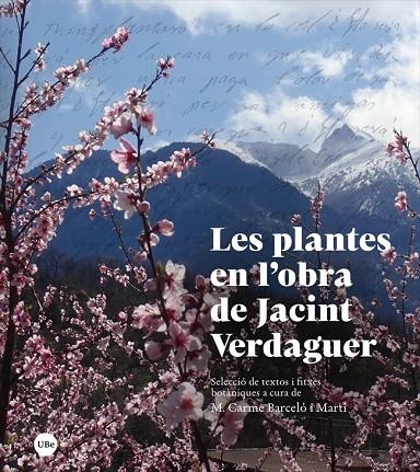 LES PLANTES EN L’OBRA DE JACINT VERDAGUER | 9788447540792 | BARCELÓ I MARTÍ, MARIA CARME