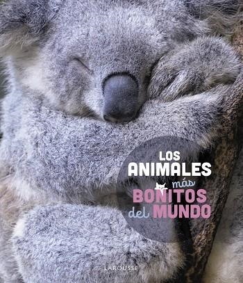 LOS ANIMALES MÁS BONITOS DEL MUNDO | 9788419436177 | LEDU, STÉPHANIE