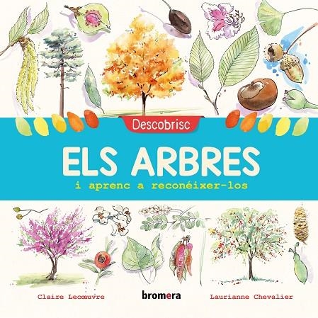 DESCOBRISC ELS ARBRES I APRENC A RECONÉIXER-LOS | 9788490269152 | LECOEUVRE, CLAIRE