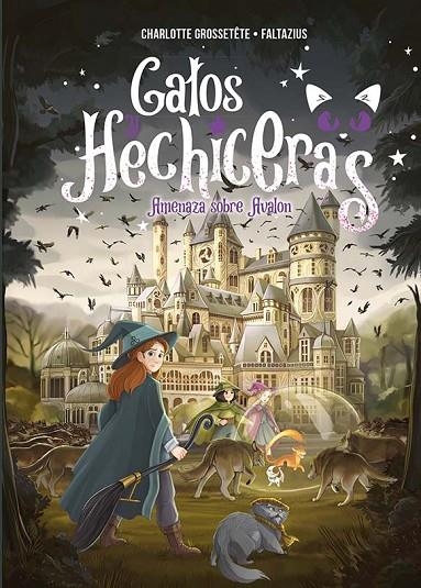 GATOS Y HECHICERAS - VOL II | 9788491456636 | GROSSETÊTE, CHARLOTTE