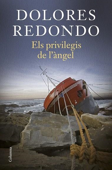 ELS PRIVILEGIS DE L'ÀNGEL | 9788466431224 | REDONDO, DOLORES