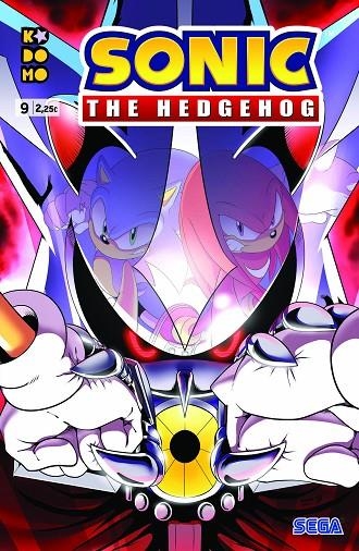 SONIC: THE HEDHEGOG NÚM. 09 (SEGUNDA EDICIÓN) | 9788418120336 | FLYNN, IAN