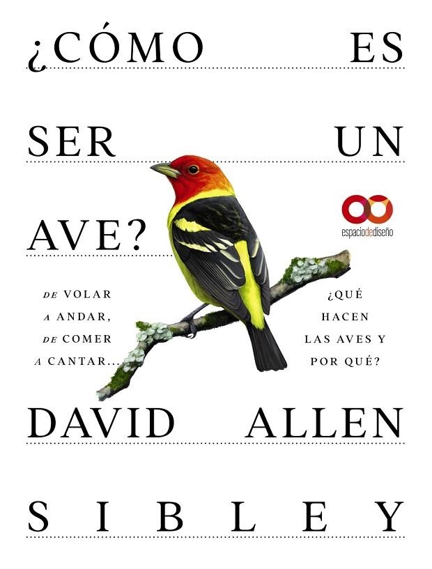 ¿CÓMO ES SER UN AVE? DE VOLAR A ANIDAR, DE COMER A CANTAR... ¿QUÉ HACEN LAS AVES | 9788441549050 | ALLEN SIBLEY, DAVID