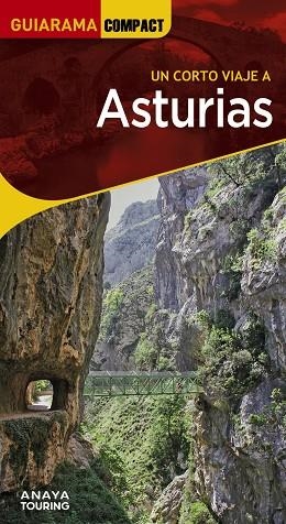 ASTURIAS | 9788491587309 | MARTÍNEZ REVERTE, JAVIER/GÓMEZ, IÑAKI/ALONSO GONZÁLEZ, JUAN CARLOS/PLANS, JUAN JOSÉ