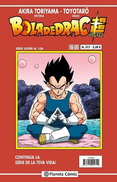 BOLA DE DRAC SERIE VERMELLA Nº 317 | 9788411616591 | TORIYAMA, AKIRA