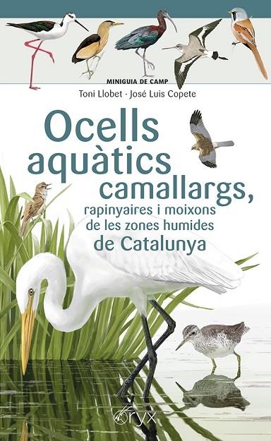 OCELLS AQUÀTICS CAMALLARGS, RAPINYAIRES I MOIXONS DE LES ZONES HUMIDES DE CATALU | 9788413564746 | COPETE, JOSÉ LUIS